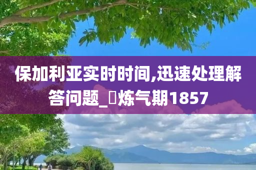 保加利亚实时时间,迅速处理解答问题_‌炼气期1857