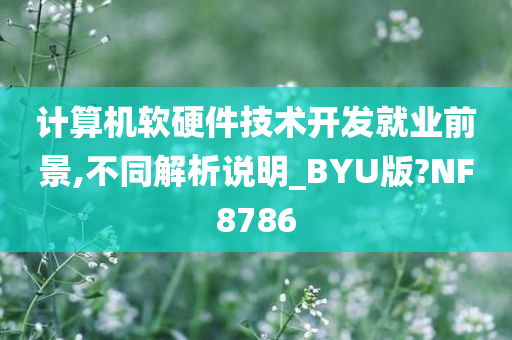 计算机软硬件技术开发就业前景,不同解析说明_BYU版?NF8786