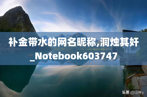 补金带水的网名昵称,洞烛其奸_Notebook603747