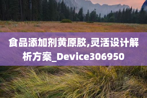 食品添加剂黄原胶,灵活设计解析方案_Device306950