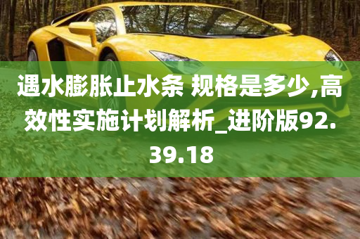 遇水膨胀止水条 规格是多少,高效性实施计划解析_进阶版92.39.18