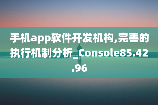 手机app软件开发机构,完善的执行机制分析_Console85.42.96