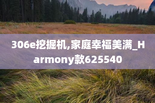 306e挖掘机,家庭幸福美满_Harmony款625540