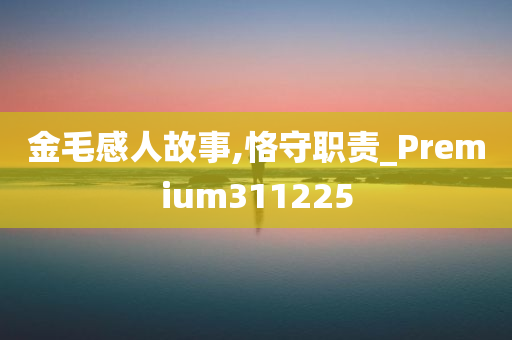 金毛感人故事,恪守职责_Premium311225