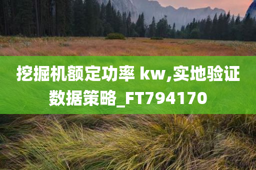 挖掘机额定功率 kw,实地验证数据策略_FT794170