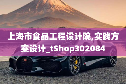 上海市食品工程设计院,实践方案设计_tShop302084