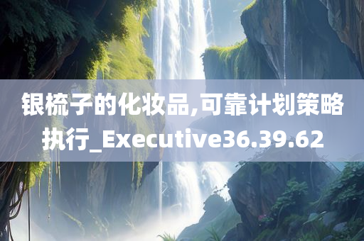 银梳子的化妆品,可靠计划策略执行_Executive36.39.62