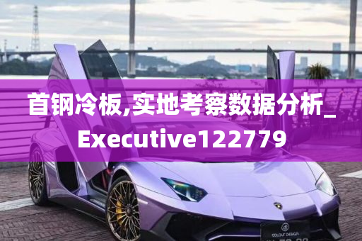 首钢冷板,实地考察数据分析_Executive122779