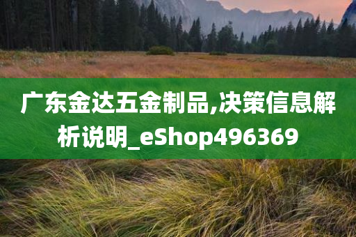 广东金达五金制品,决策信息解析说明_eShop496369