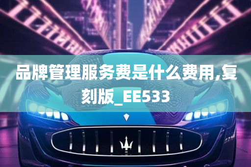 品牌管理服务费是什么费用,复刻版_EE533