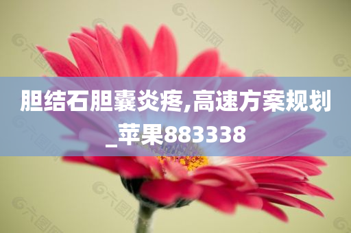 胆结石胆囊炎疼,高速方案规划_苹果883338