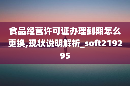 食品经营许可证办理到期怎么更换,现状说明解析_soft219295