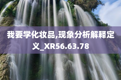 我要学化妆品,现象分析解释定义_XR56.63.78