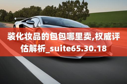 装化妆品的包包哪里卖,权威评估解析_suite65.30.18