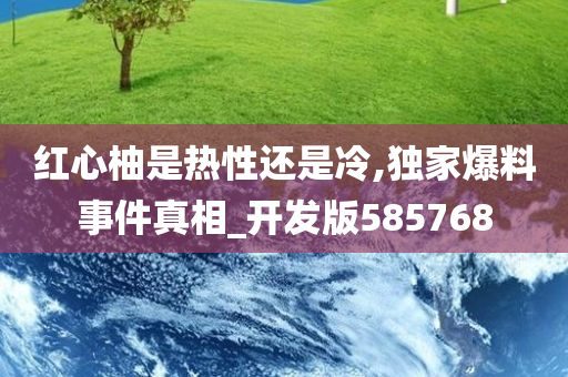 红心柚是热性还是冷,独家爆料事件真相_开发版585768