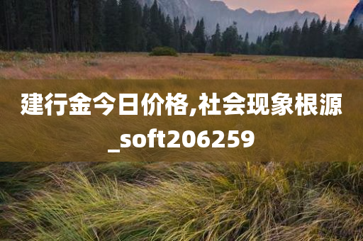 建行金今日价格,社会现象根源_soft206259