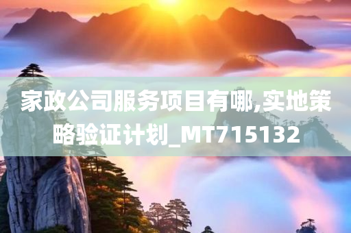 家政公司服务项目有哪,实地策略验证计划_MT715132