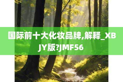 国际前十大化妆品牌,解释_XBJY版?JMF56