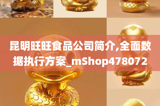 昆明旺旺食品公司简介,全面数据执行方案_mShop478072