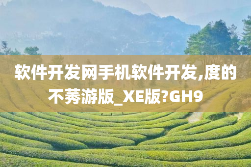 软件开发网手机软件开发,度的不莠游版_XE版?GH9