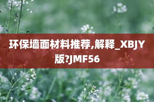 环保墙面材料推荐,解释_XBJY版?JMF56