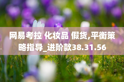 网易考拉 化妆品 假货,平衡策略指导_进阶款38.31.56