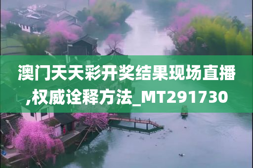 澳门天天彩开奖结果现场直播,权威诠释方法_MT291730