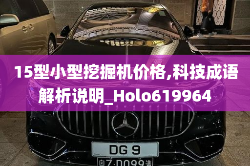 15型小型挖掘机价格,科技成语解析说明_Holo619964