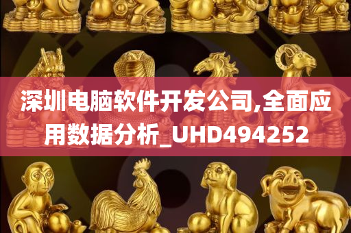 深圳电脑软件开发公司,全面应用数据分析_UHD494252