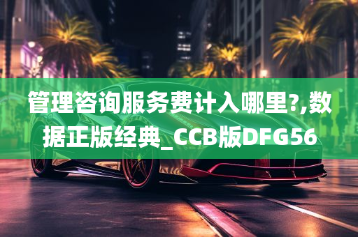 管理咨询服务费计入哪里?,数据正版经典_CCB版DFG56