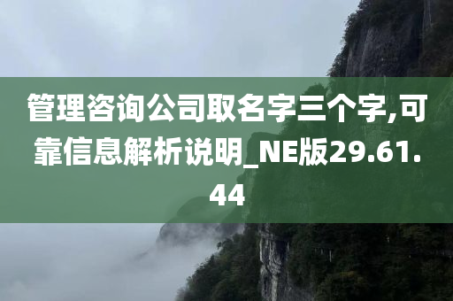 管理咨询公司取名字三个字,可靠信息解析说明_NE版29.61.44