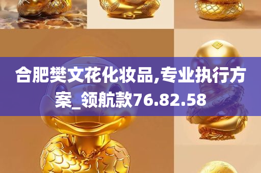 合肥樊文花化妆品,专业执行方案_领航款76.82.58