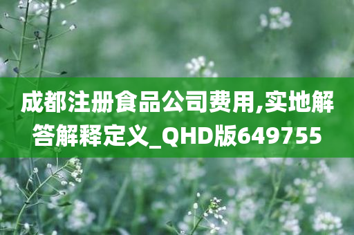 成都注册食品公司费用,实地解答解释定义_QHD版649755