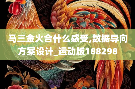 马三金火合什么感受,数据导向方案设计_运动版188298