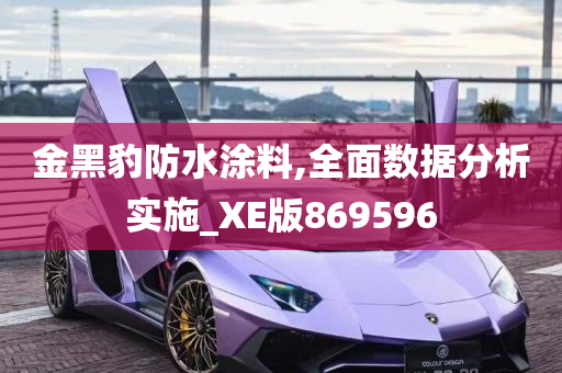 金黑豹防水涂料,全面数据分析实施_XE版869596