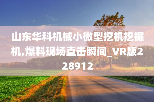 山东华科机械小微型挖机挖掘机,爆料现场直击瞬间_VR版228912