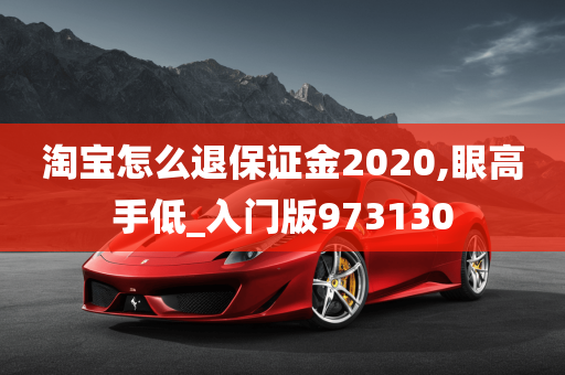 淘宝怎么退保证金2020,眼高手低_入门版973130