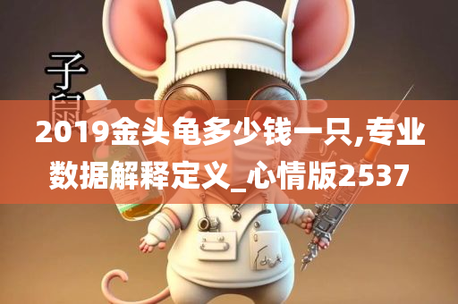 2019金头龟多少钱一只,专业数据解释定义_心情版2537