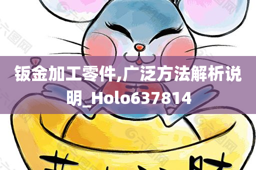 钣金加工零件,广泛方法解析说明_Holo637814