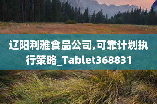 辽阳利雅食品公司,可靠计划执行策略_Tablet368831