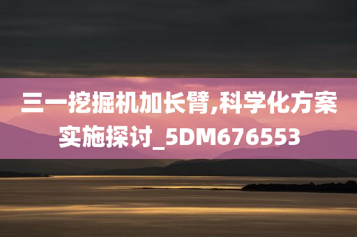 三一挖掘机加长臂,科学化方案实施探讨_5DM676553