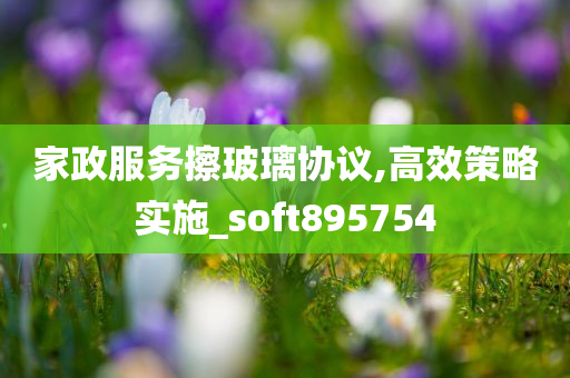 家政服务擦玻璃协议,高效策略实施_soft895754