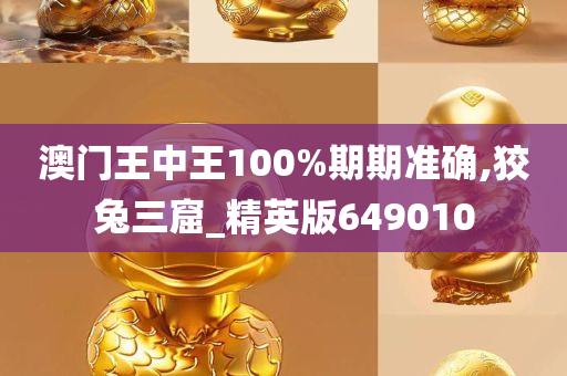 澳门王中王100%期期准确,狡兔三窟_精英版649010