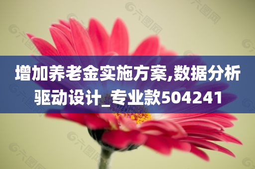 增加养老金实施方案,数据分析驱动设计_专业款504241