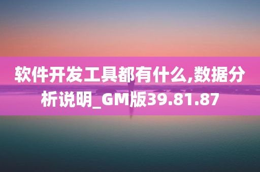 软件开发工具都有什么,数据分析说明_GM版39.81.87