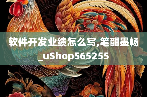 软件开发业绩怎么写,笔酣墨畅_uShop565255