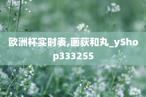 欧洲杯实时表,画荻和丸_yShop333255