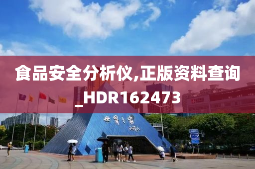 食品安全分析仪,正版资料查询_HDR162473