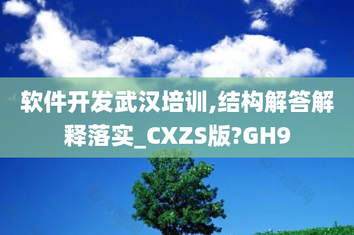 软件开发武汉培训,结构解答解释落实_CXZS版?GH9