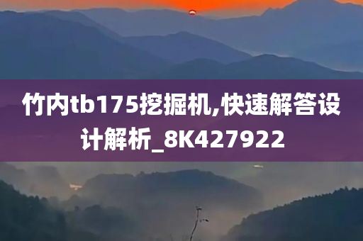 竹内tb175挖掘机,快速解答设计解析_8K427922